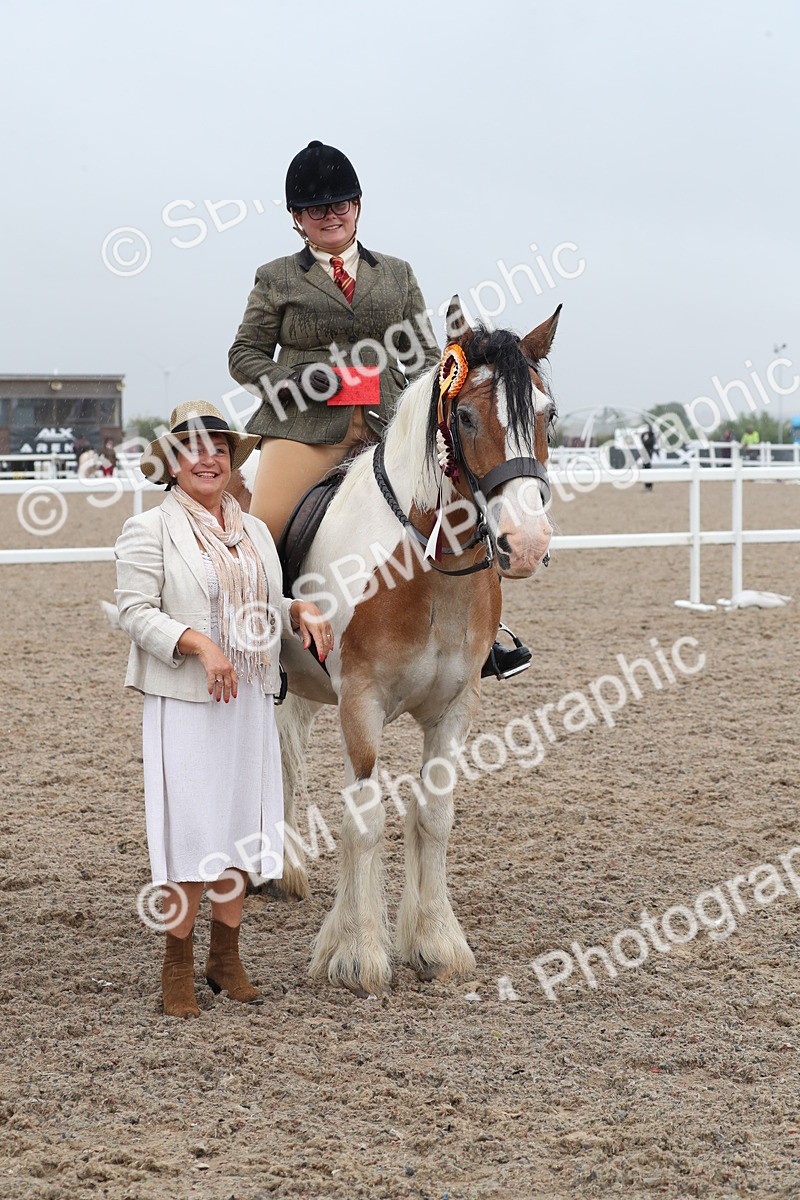 SBM_20512 - Class 601 - 2025 Area - Ridden Diamond