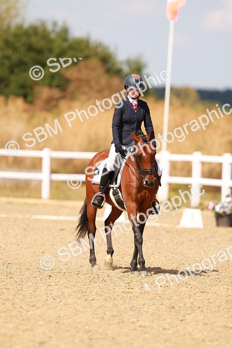 SBM_018513 - Class 9 - N5 Bronze 11.57.13.07