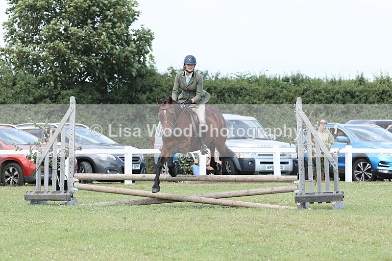 JPP_2037 - Class 19: Working Hunter 60cm