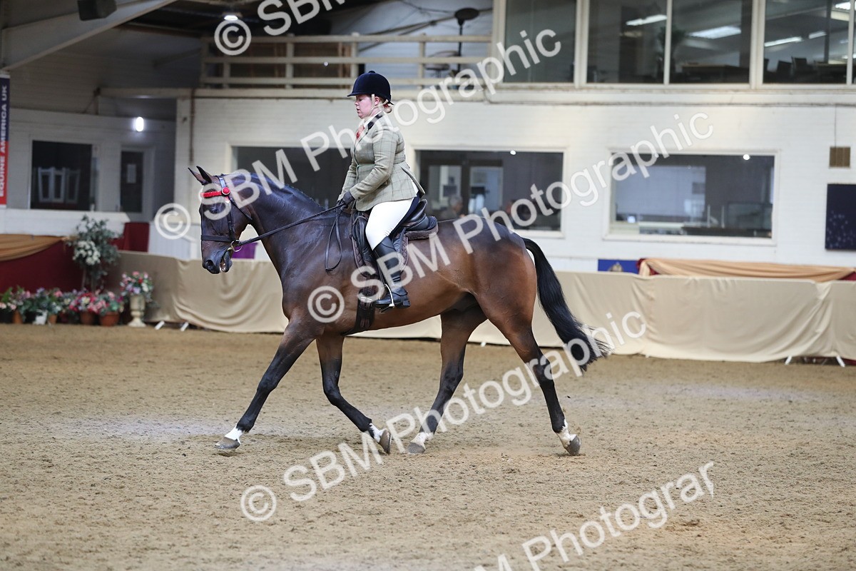 SBM_12386 - Class 108 Ridden Retired Racehorse- Pre Judging