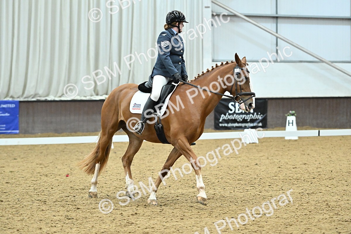 SBM_007549 - Class 81 - Novice 3