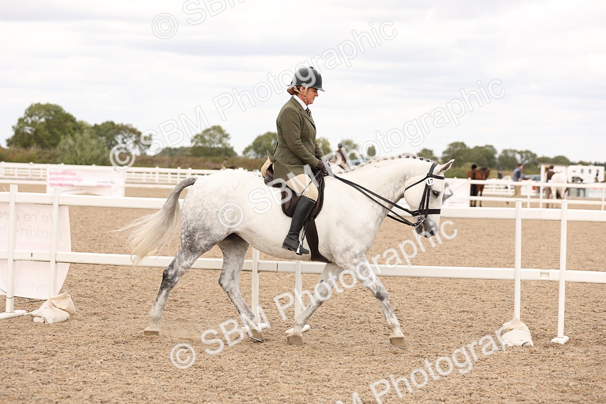 SBM_16472 - Class 212 - Ridden Hunter - Small