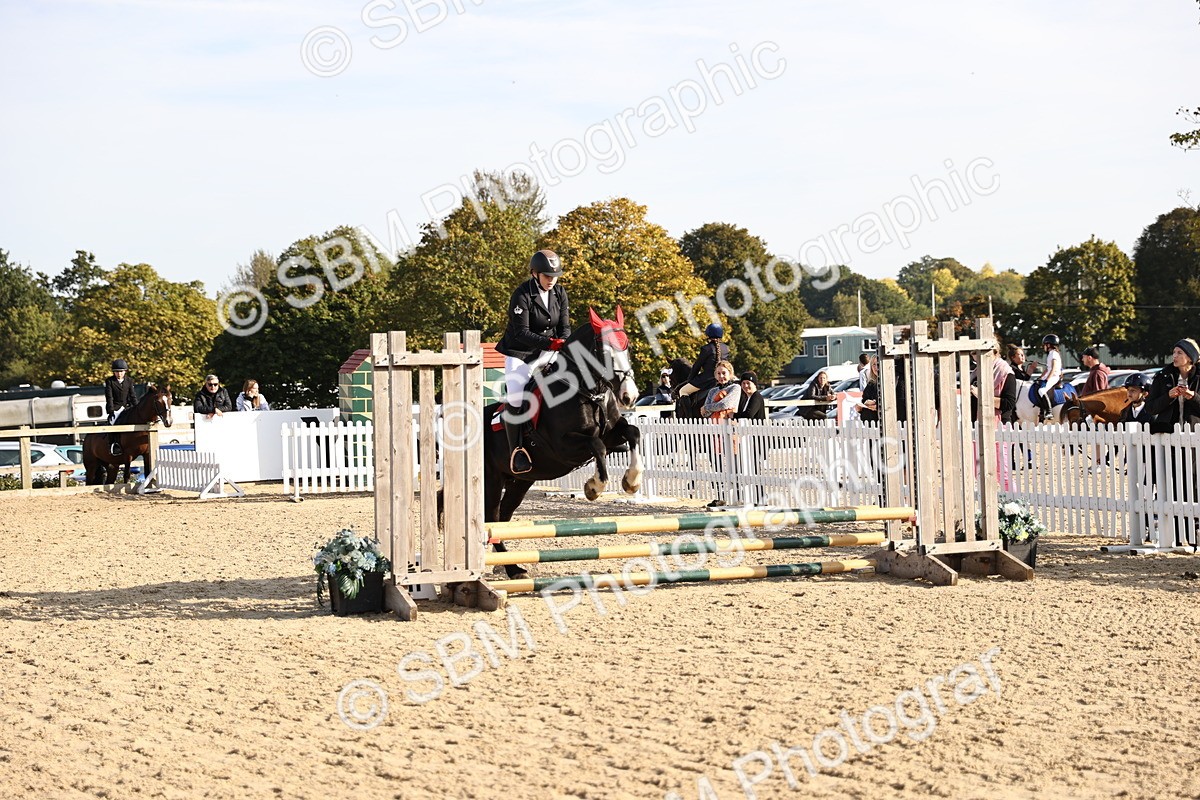 SBM_59666 - J11 - Junior Pony 50cm Championship