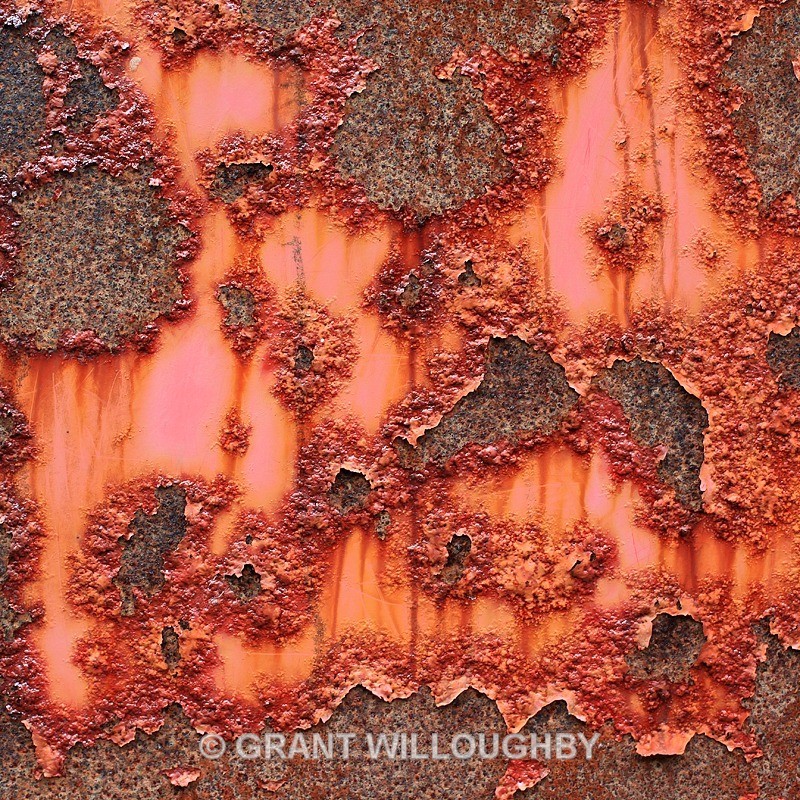  - Detail in the land