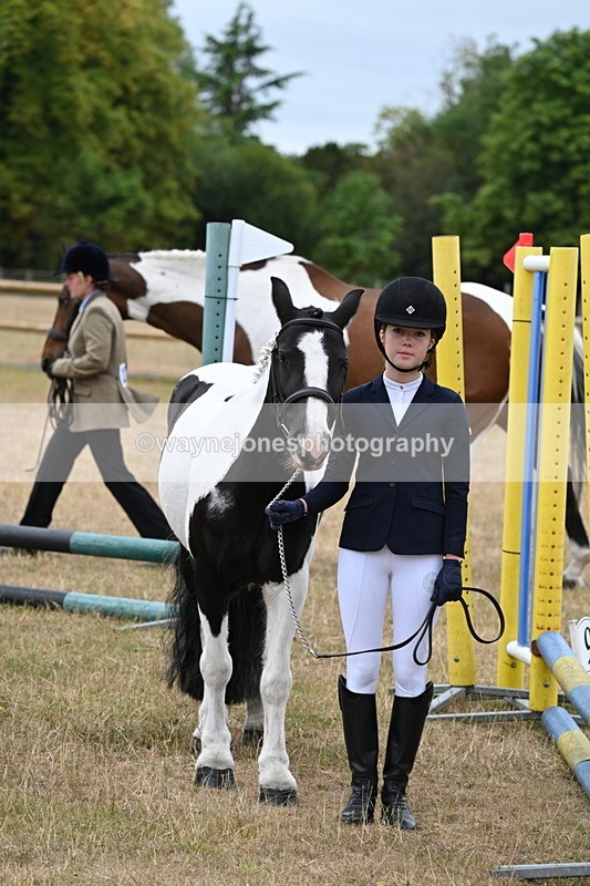 WJ6_8181 - Class 10 Coloured in Hand