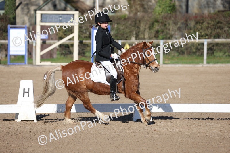 20260214-0363 - Class 4 - Novice 2