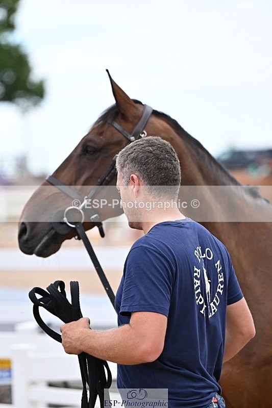 250716-140958-00945 - Trot Up 1.30 to 2.30