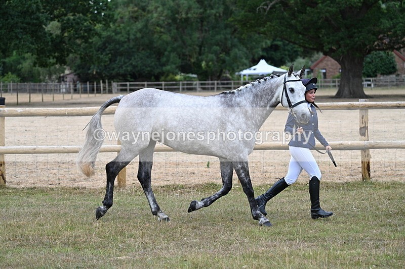 WJ7_8721 - Class 4a Prettiest Mare 14.2hh and over