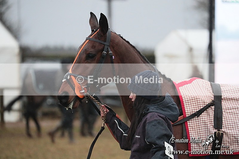 PtP 260125 956 - Cocklebarrow Point-to-Point racing with the Heythrop Hunt 26/01/25