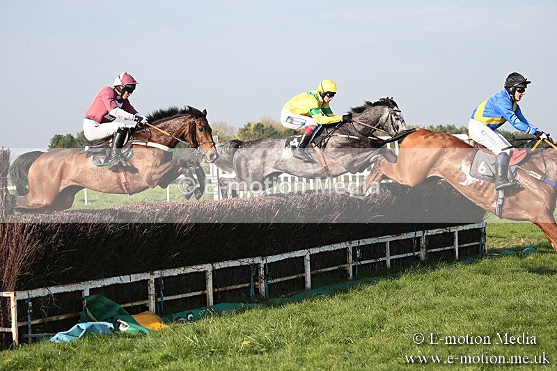 PtP 210418 612 - South & West Wilts Point-to-Point Larkhill 21/04/18