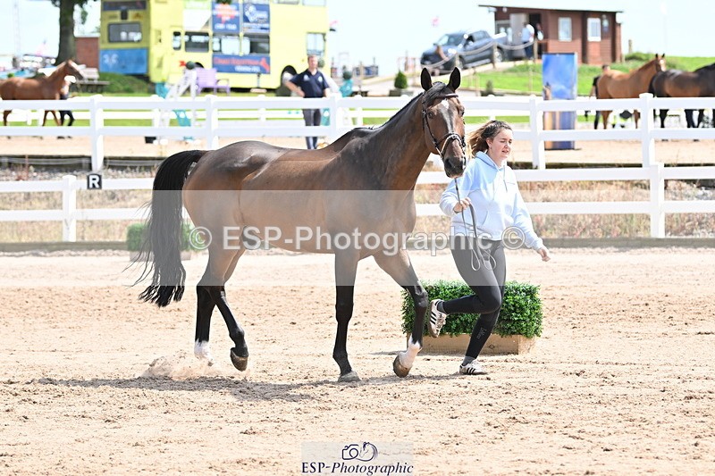 240717A-144930-02321 - Trot Up 2pm to 3pm - This folder is not in time order