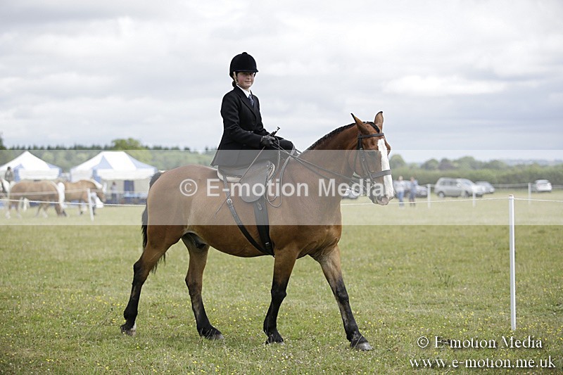 BVR160717-1999 - Side Saddle Classes 16/07/17