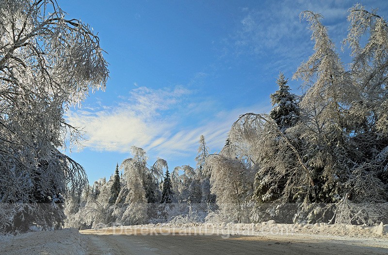 The IceMan Cometh - 2 - Winterscape