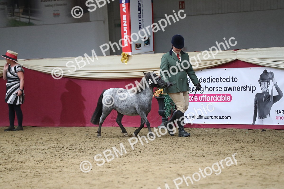 SBM_06287 - Class 9R Regional- IH Pre Vet