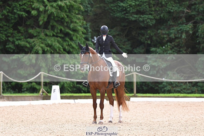 240809-121553-00711 - 185-Daisy.Hedges-Felicia.v