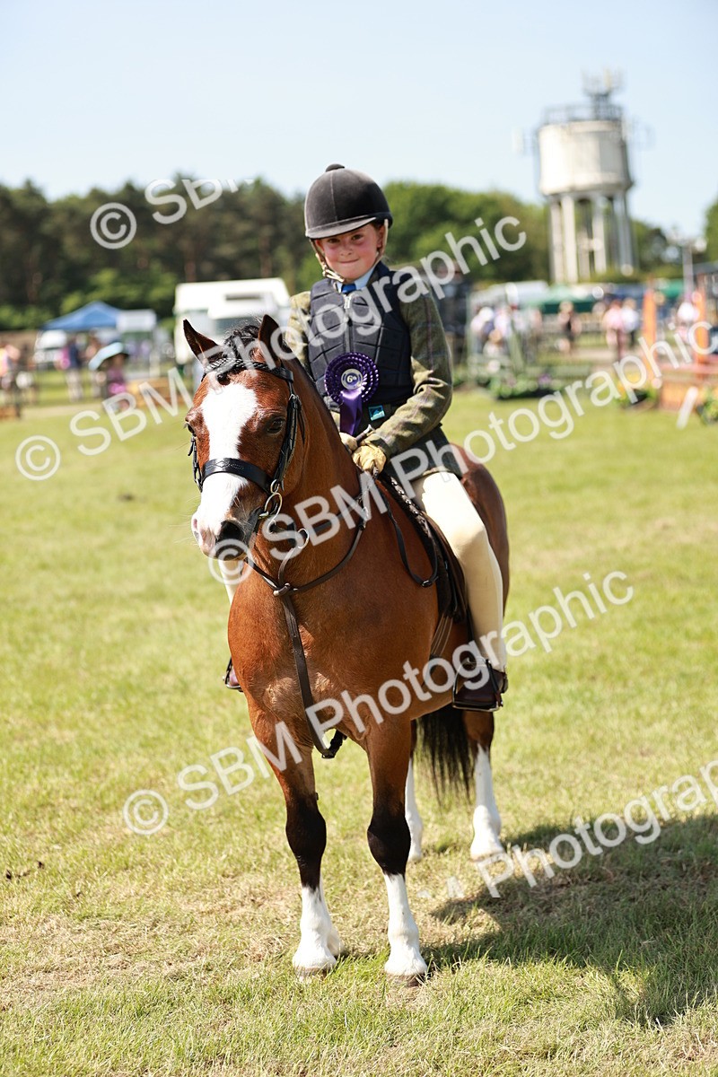 SBM_13665 - Class 108-109 - BSPS LIHS Open Gradle & Nursery Stakes