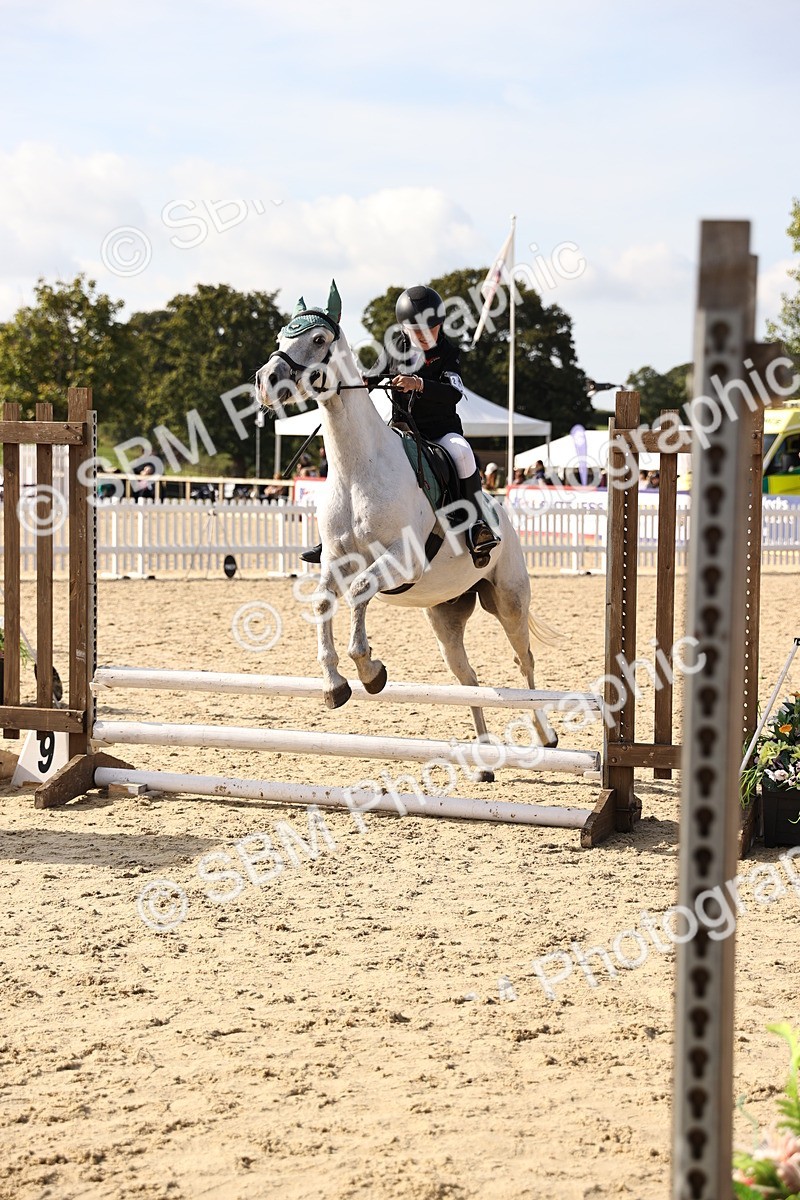 SBM_61921 - J12 - Junior Pony 55cm Championship