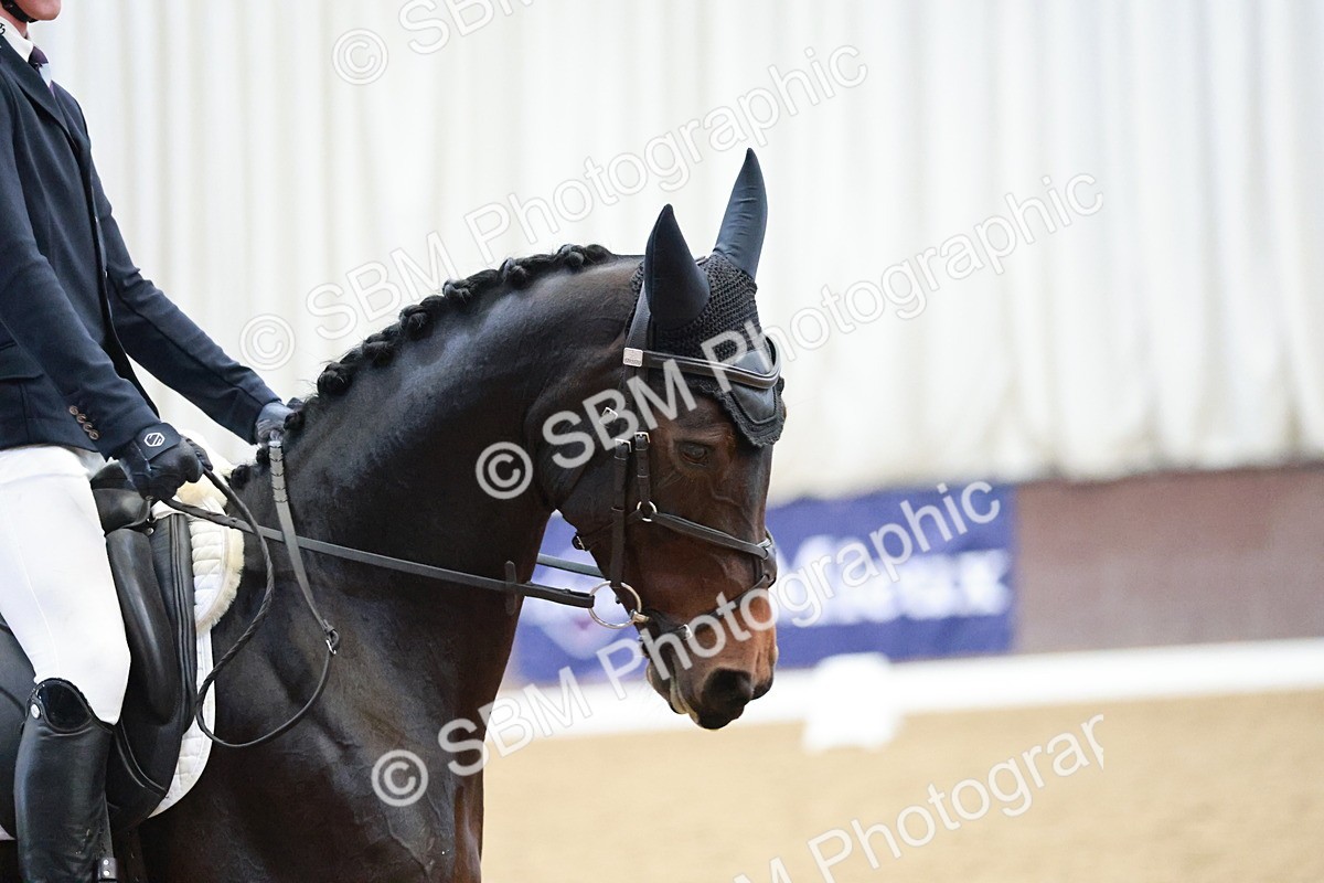 SBM_004424 - Class 2 - Novice 2020