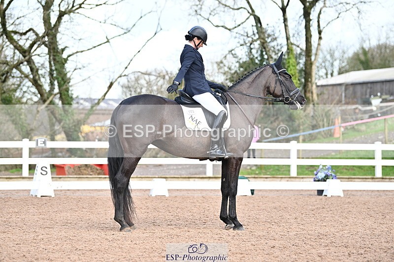 240218A-120044-06953 - 204-Elder.Klatzko-Dynasty.Hit