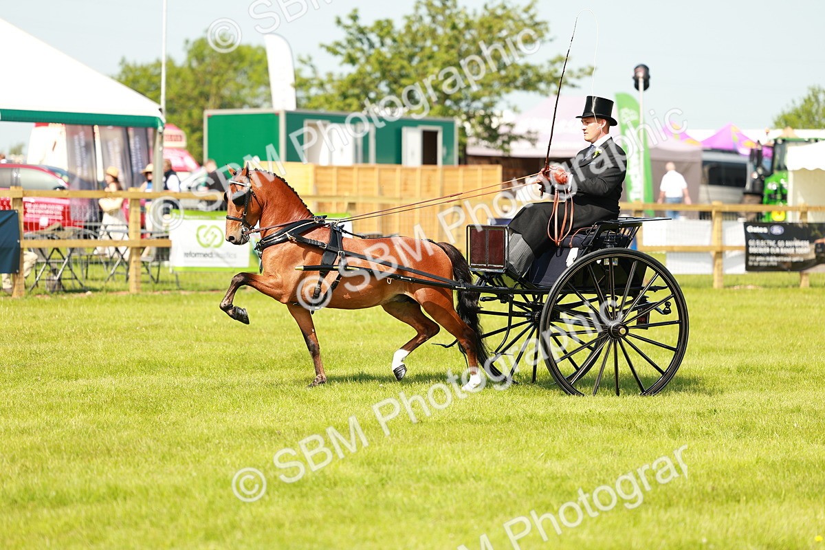 SBM_02692 - Class 2-4 - HOYS Private Driving