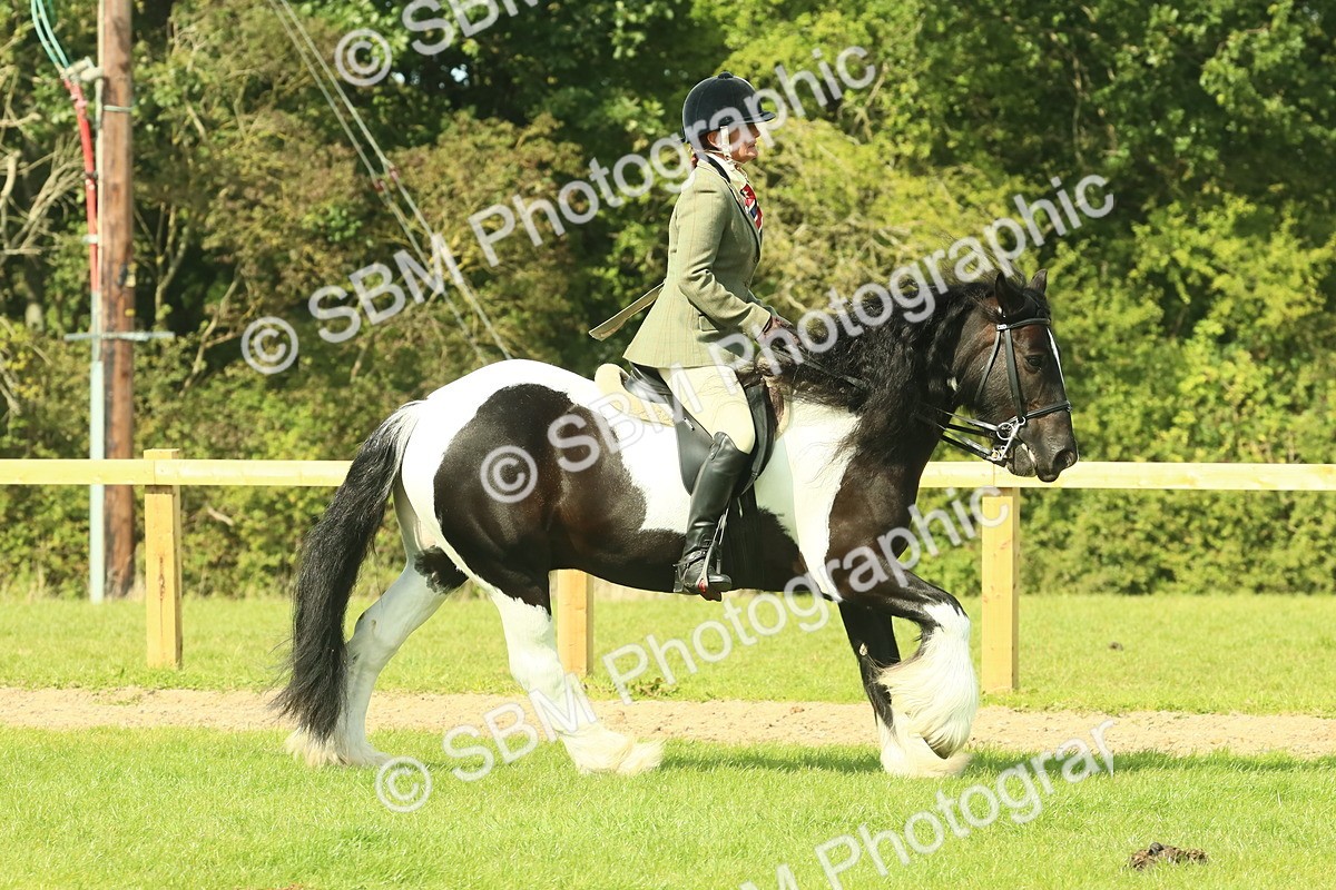 SBM_67462 - S56 - Coloured Pony Ridden