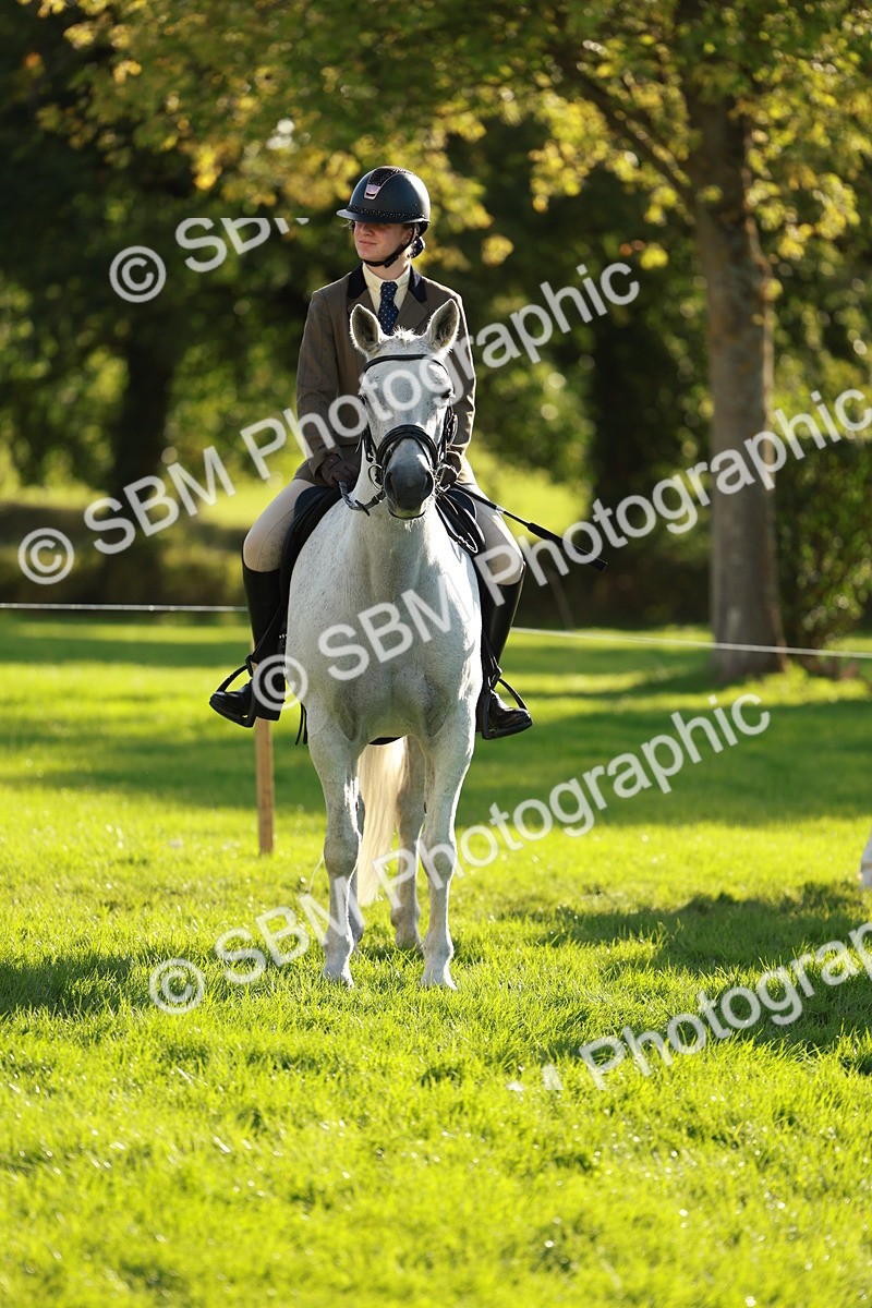 SBM_28707 - S7 - Novice & Newcomer Ridden Pony