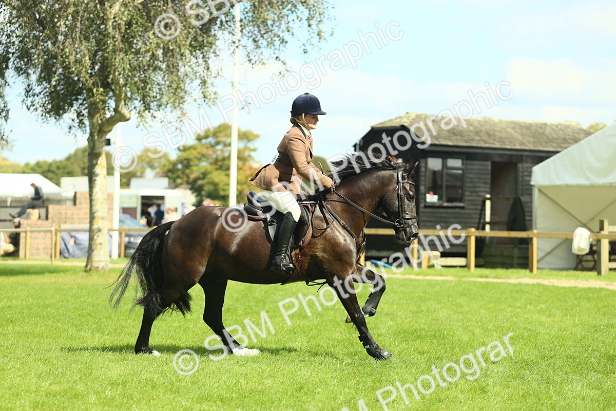 SBM_42866 - S30 - M&M Working hunter Pony