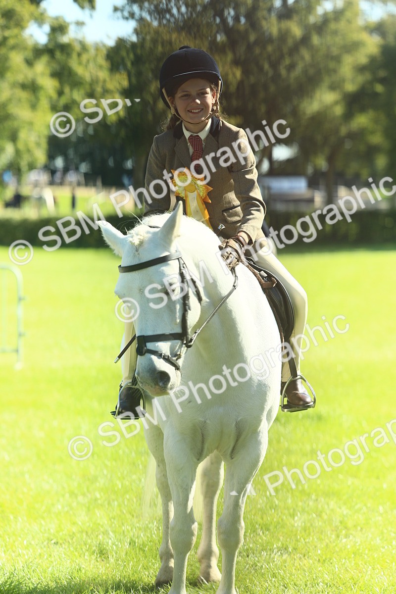 SBM_39082 - S29 - Novice & Newcomers Working Hunter Pony