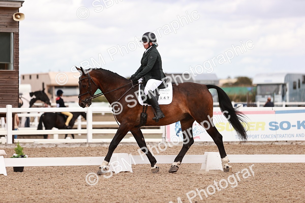 SBM_06352 - Class 37 - Novice 5