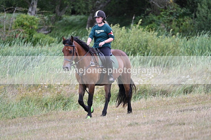 WJ7_6476 - Time 12:15 to 13:21