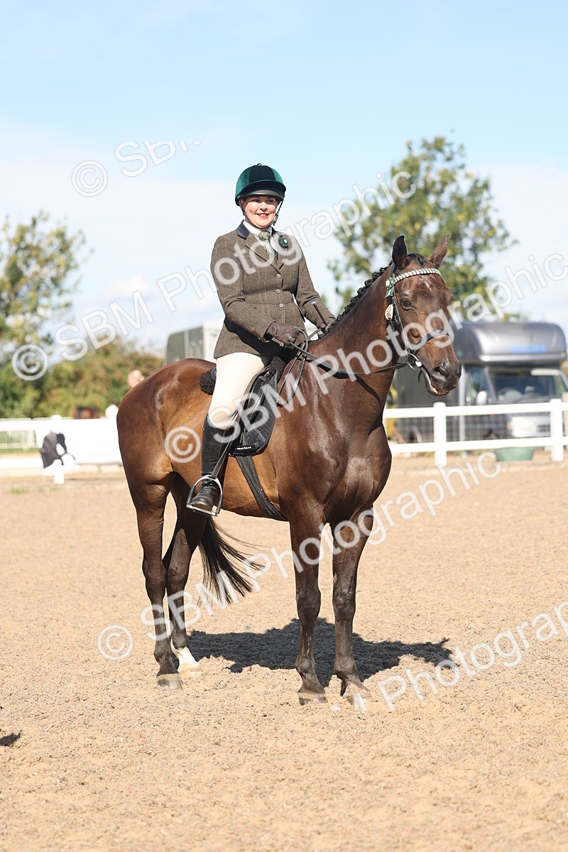 SBM_13071 - Class 305 - Ridden Foreign Breed Pure Bred