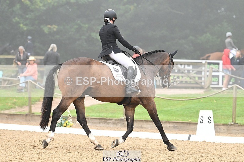 240811-093652-04820 - 119-Alice.Kneen-Dazzling.Springtime