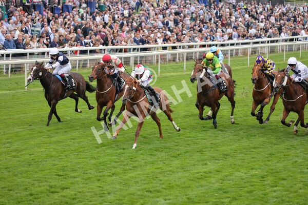 yr18082021r6-10 - Race 6 4.45pm IRE-Incentive It Pays To Buy Irish Stakes