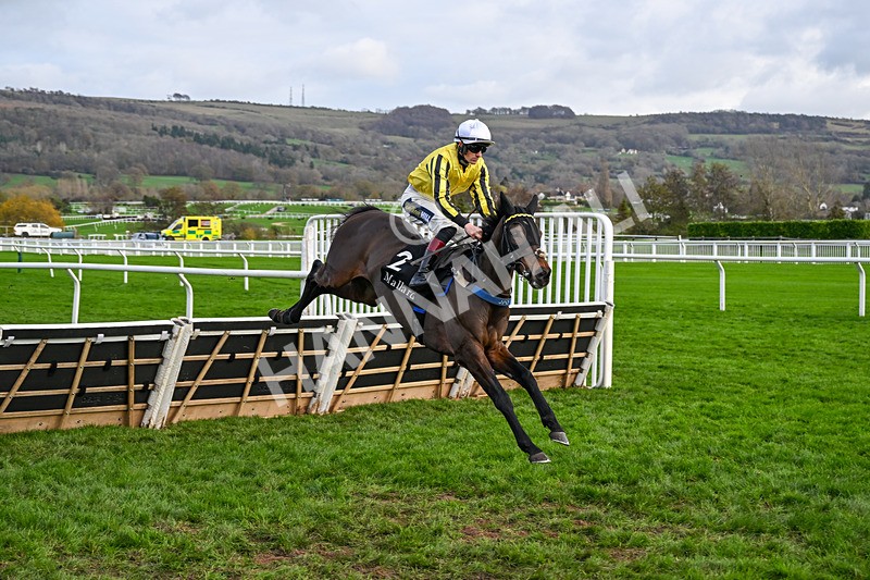 161125-Race 1-Ambiente Friendly-5556 - Race 1