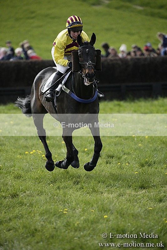 PtP 170417 438 - Old Berks Point-to-Point Lockinge 17/04/17