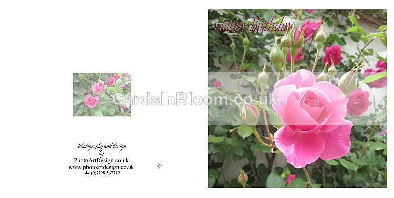 031 Roses - FLORAL GREETING CARDS
