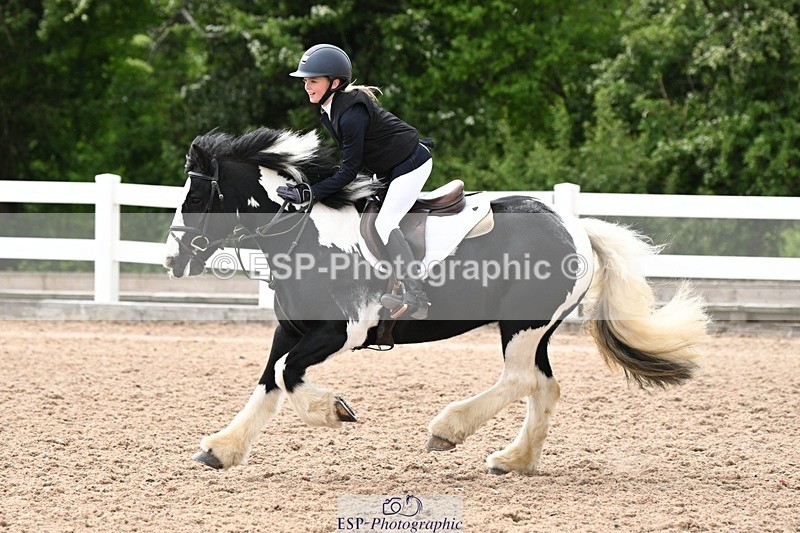 250504-143436-03657 - Cls 23 Stepping Stones