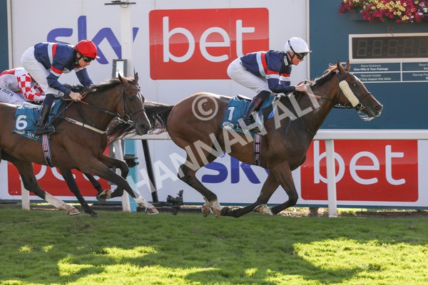 240824-Race 7-Sir Busker-9257 - Race 7 5.20pm Sky Bet Finale Handicap