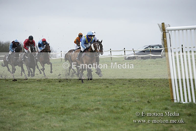 PtP 150320 0294 - New Forest Point-to-Point Larkhill 15/03/20