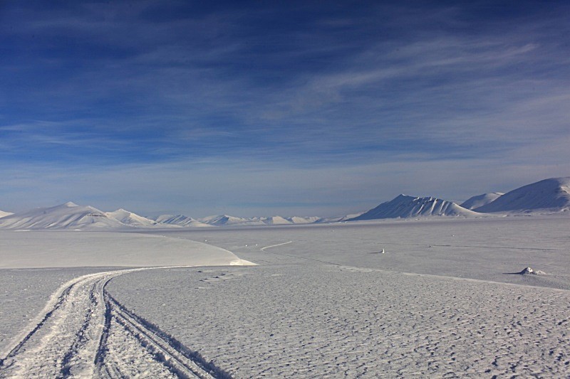 Kaldbukta 6185 - Winter in the daylight