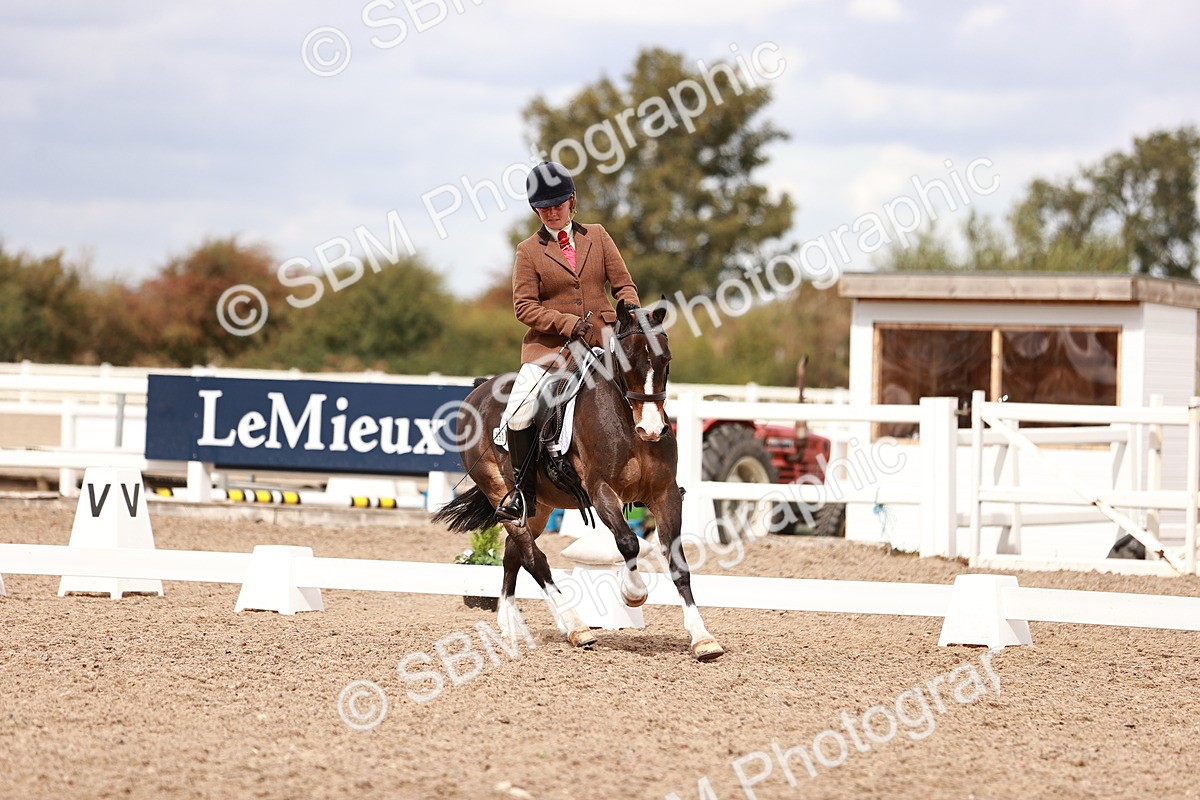 SBM_06231 - Class 37 - Novice 5