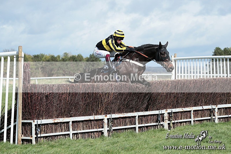 PtP 230324 277 - Tedworth Hunt PtP Larkhill Raccourse 23rd March 2024