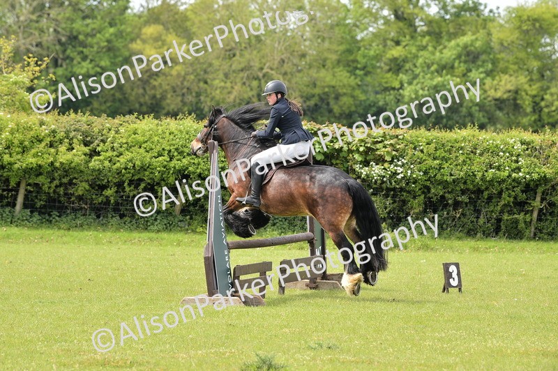 20260426-2373 - Class 21 - Working Hunter Ponies