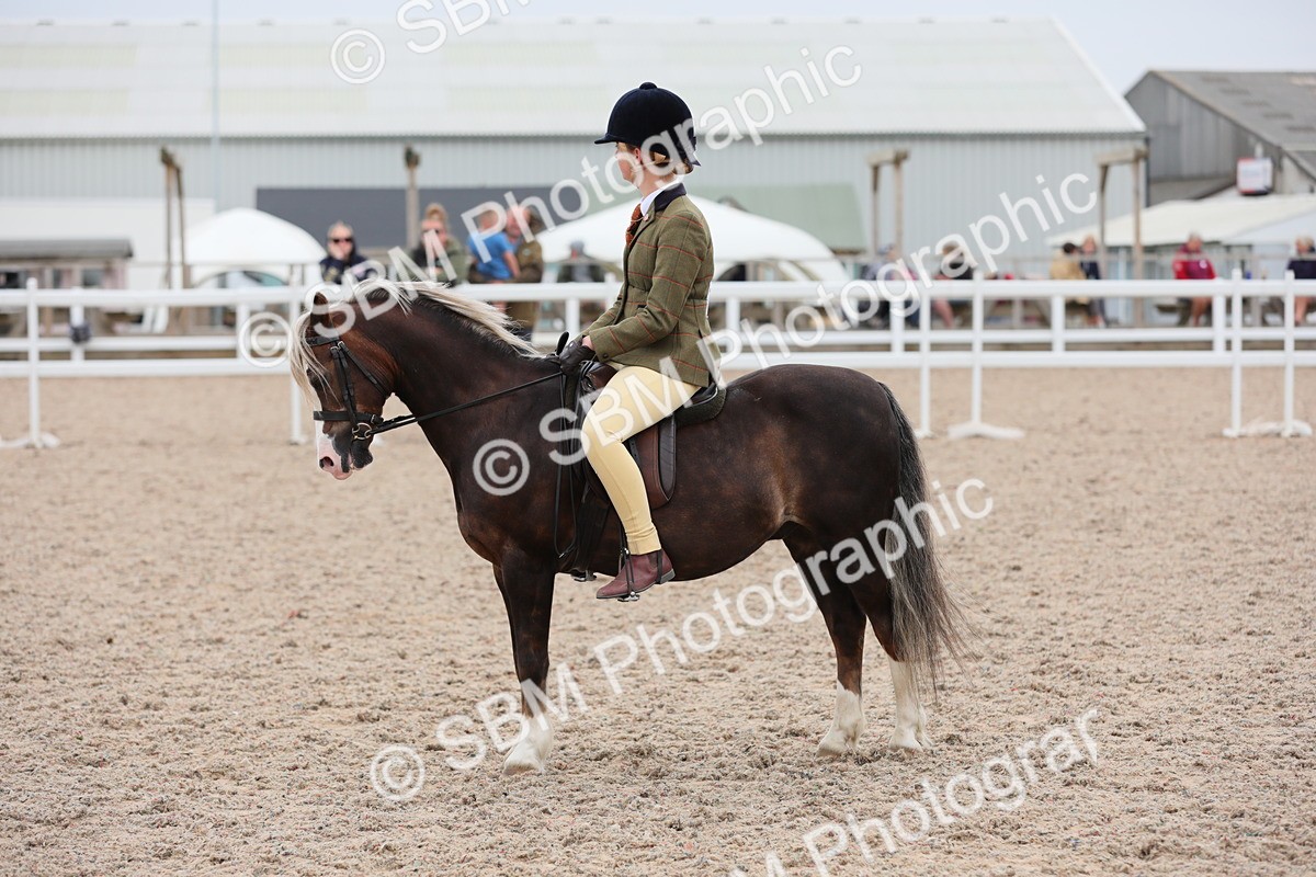 SBM_18113 - Class 316 Best Pony/Rider Combination