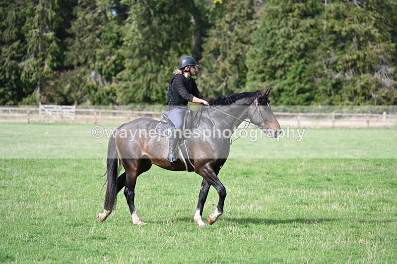 WJ7_9870 - Time 13:13 to 13:55