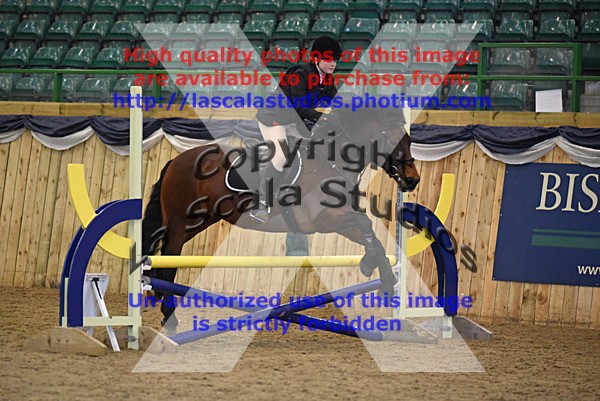 WS_0027 - Class 2a  80cm Qualifier