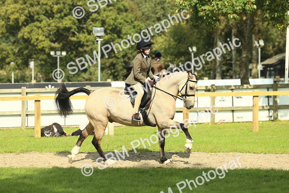 SBM_67636 - S56 - Coloured Pony Ridden