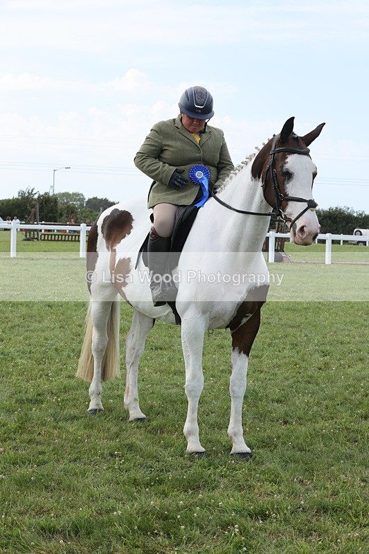JPP_4142 - Class 24: Working Hunter 90cm
