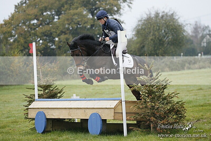 WWHT 181020 WWHT 181020 222 - WWEC Novice Restricted (0.80m) 18/10/20