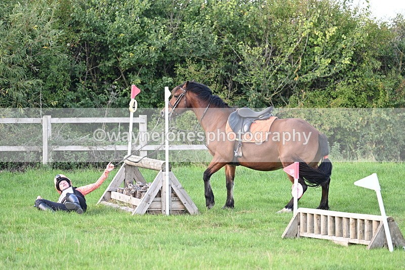 WJ7_1231 - Time 13:56 to 14:24